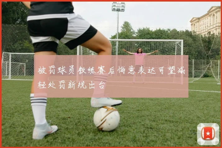 被罚球员教练赛后悔意表达可望减轻处罚新规出台