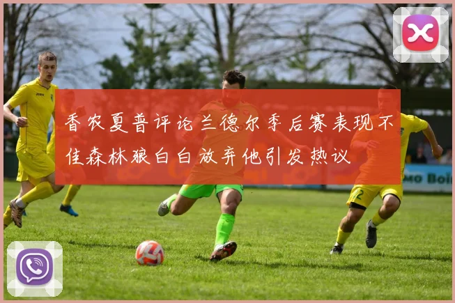 香农夏普评论兰德尔季后赛表现不佳森林狼白白放弃他引发热议